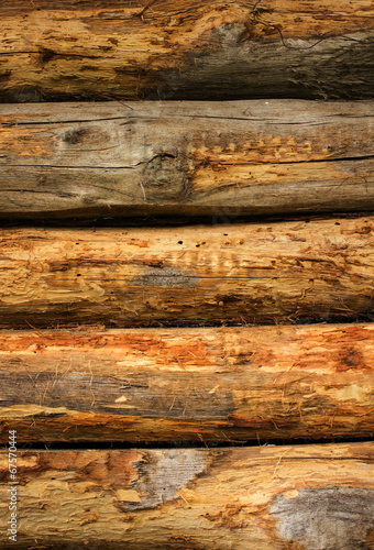 trunks stripped pattern