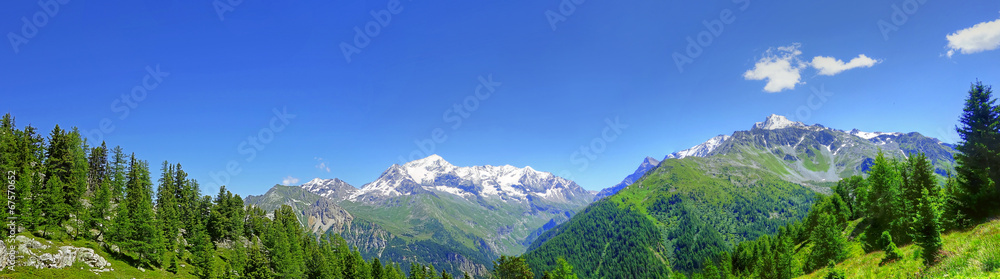 Obraz premium Panorama des Alpes en été