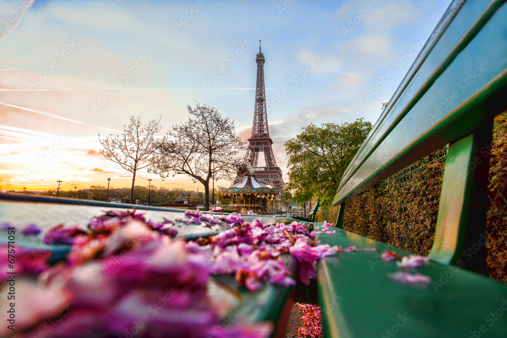Fototapeta Eiffel Tower during spring time in Paris, France