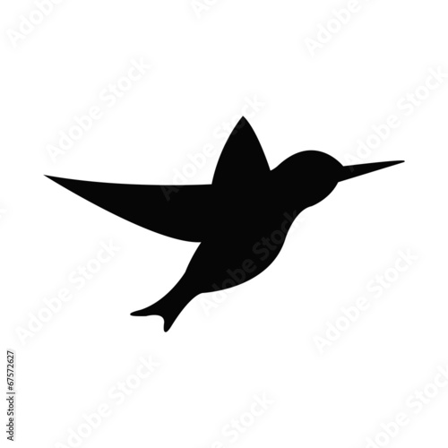 Humming bird