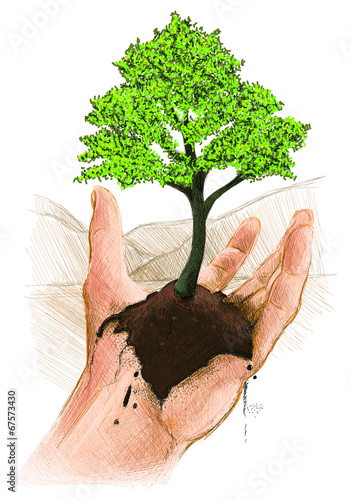 Planting