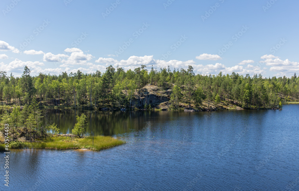 landscape with forest lake