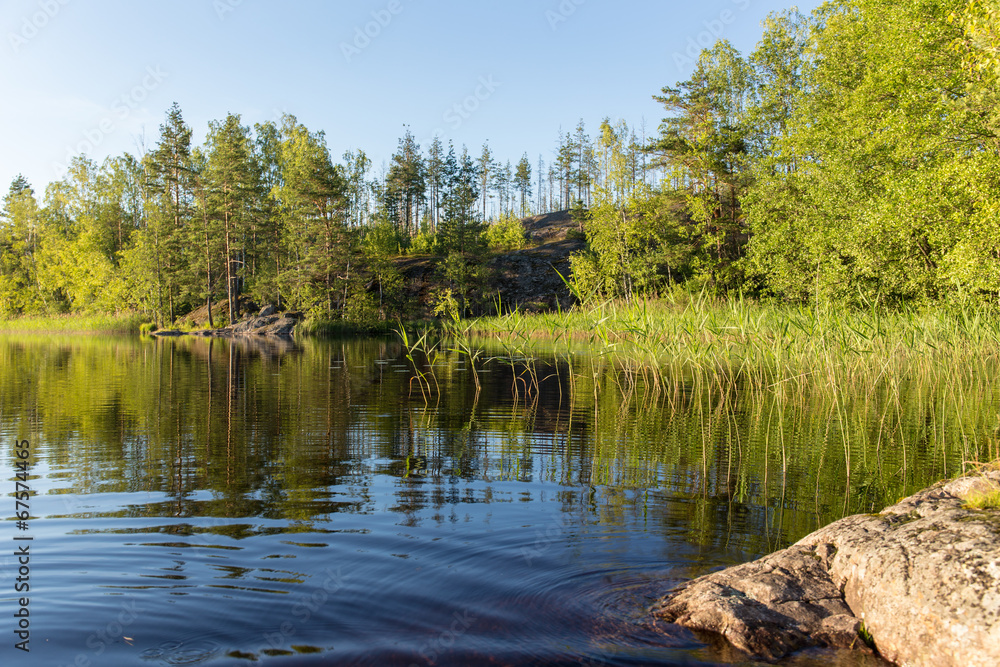 Obraz premium forest lake