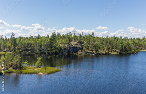 landscape with forest lake