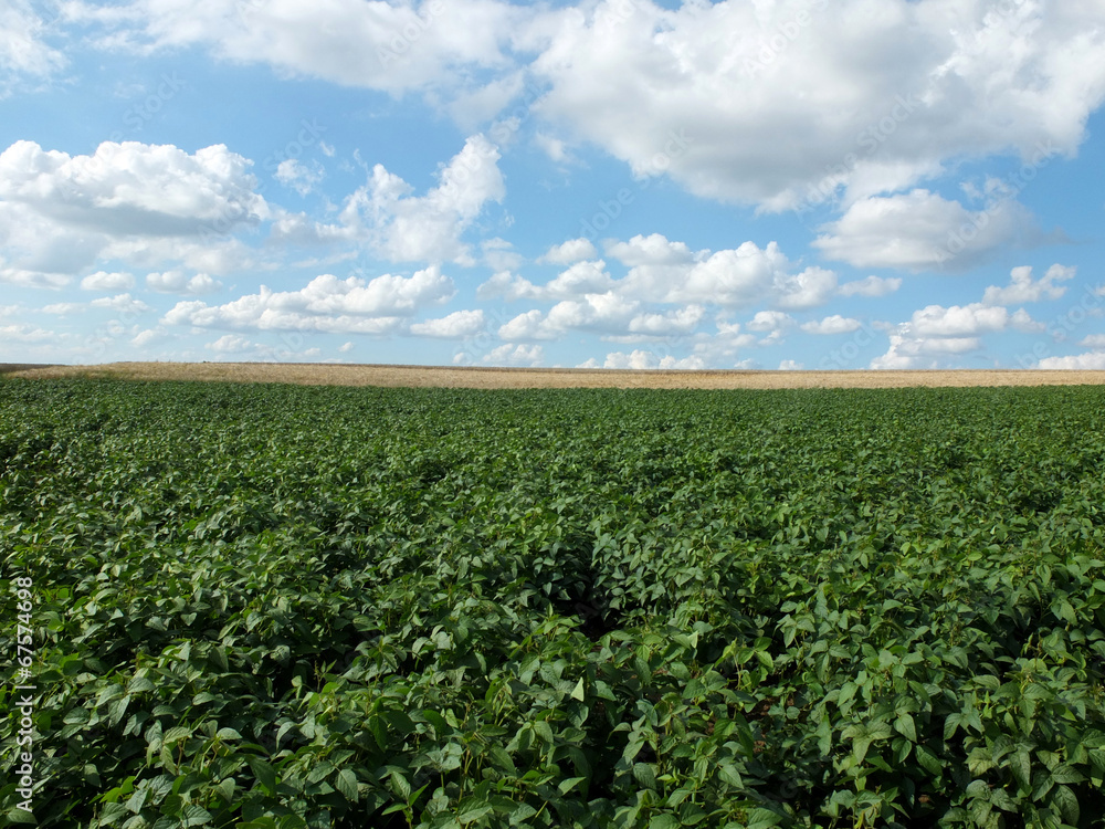 Agrarlandschaft Agrarlandschaft