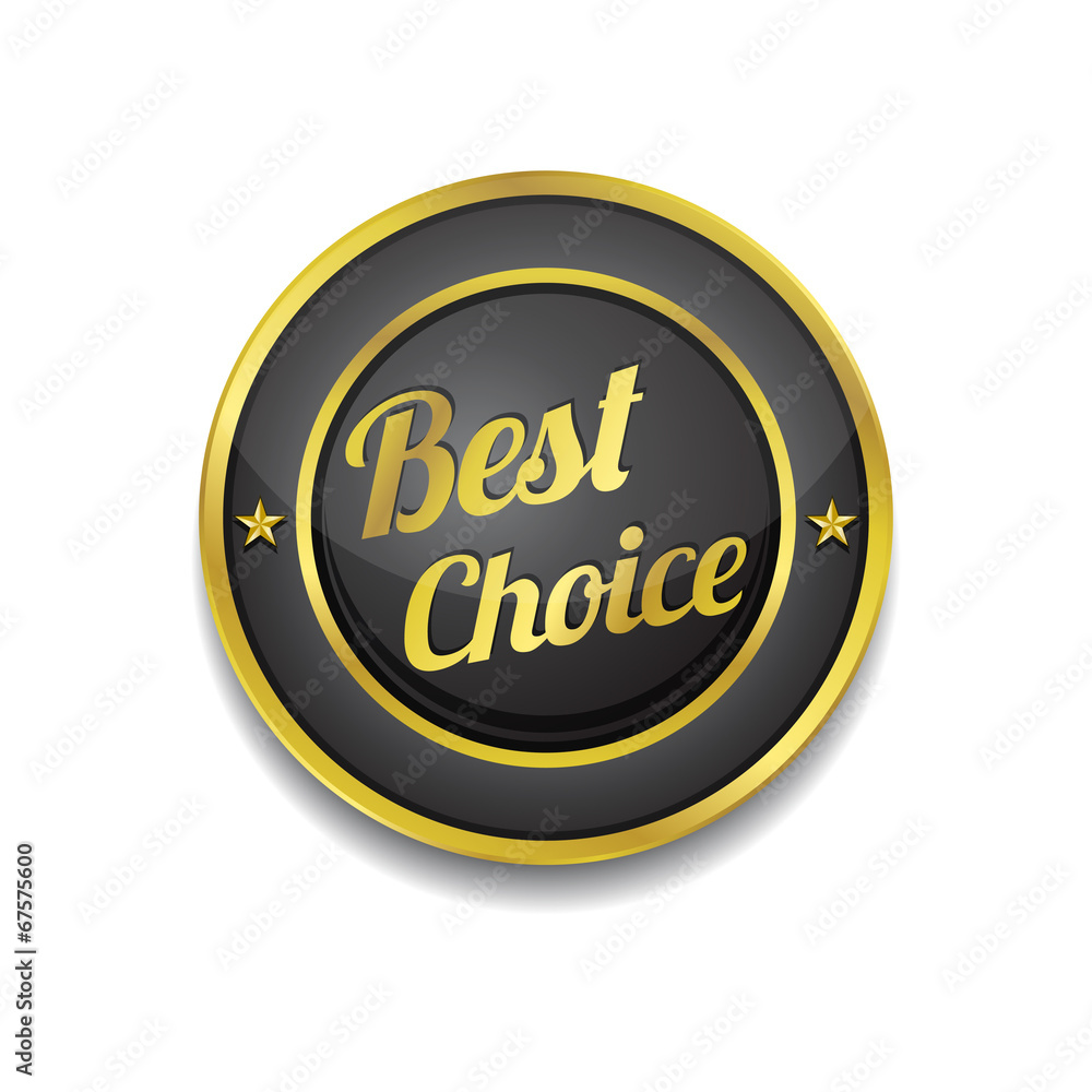 Best Choice Glossy Shiny Circular Vector Button Best Choice Glossy Shiny Circular Vector Button