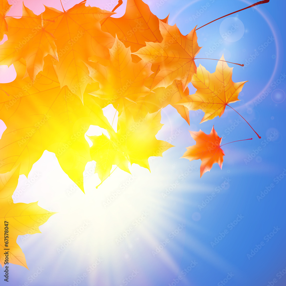 Delicate autumn sun with glare on blue sky. - obrazy, fototapety, plakaty 