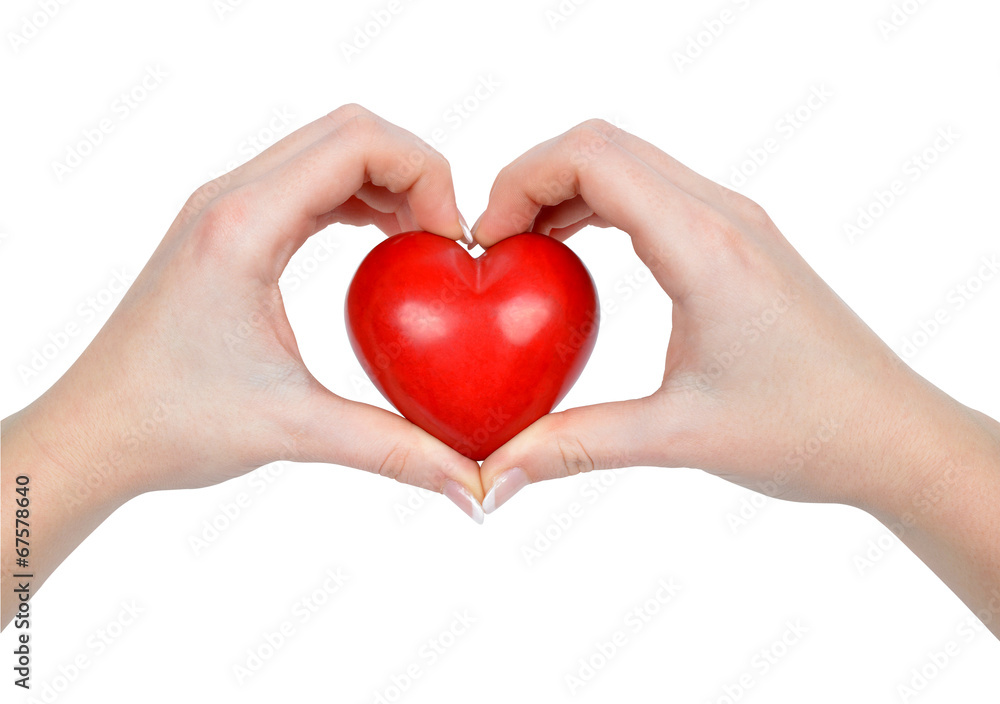heart in hands isolated on white heart in hands isolated on white