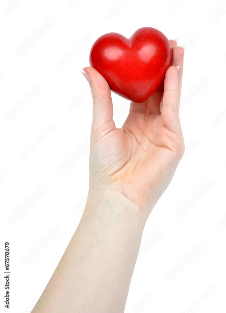 heart in hand isolated on white heart in hand isolated on white