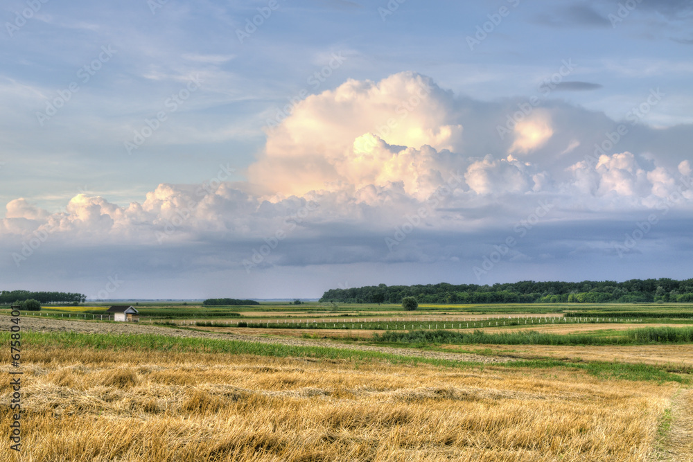 Country landscape in the evening