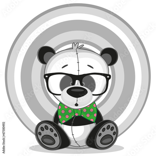 Fototapeta Naklejka Na Ścianę i Meble -  Hipster Panda