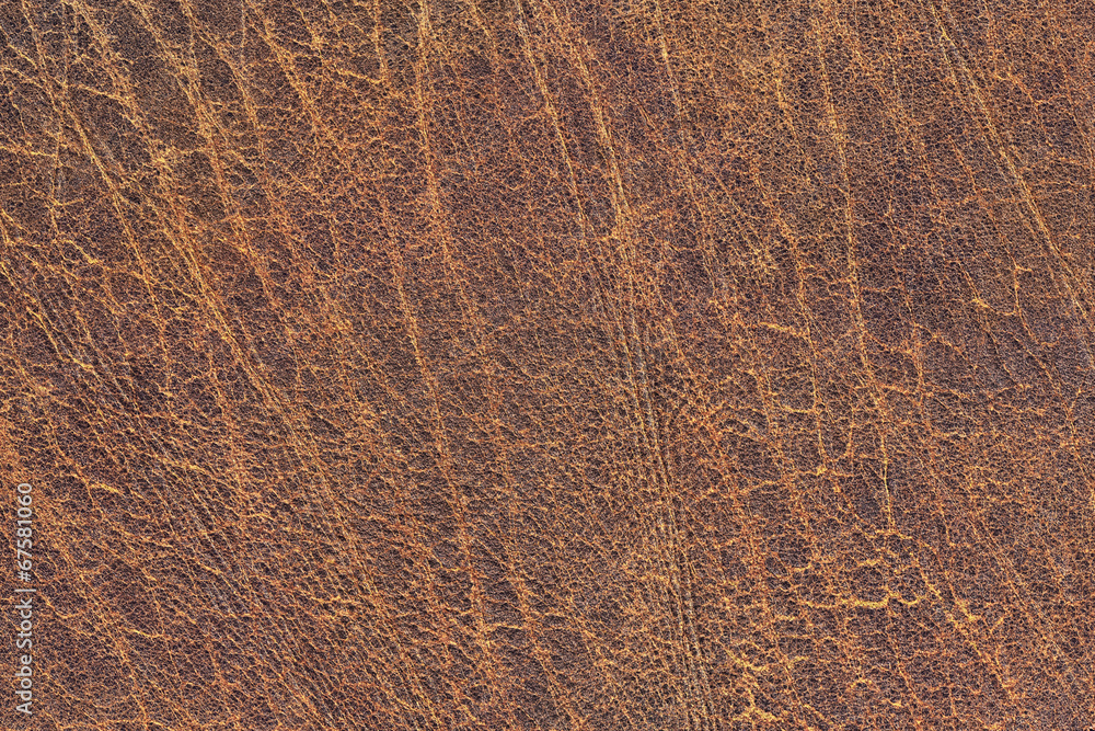 Old Cowhide Creasy Exfoliated Crumpled Grunge Texture Old Cowhide Creasy Exfoliated Crumpled Grunge Texture
