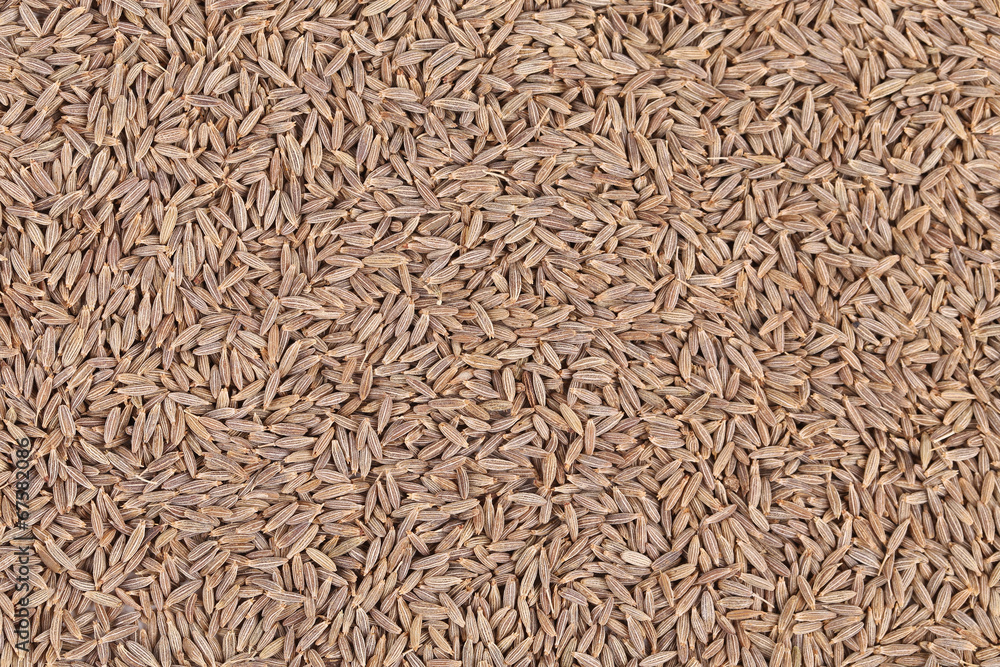 Close up of cumin seeds. Macro. Close up of cumin seeds. Macro.