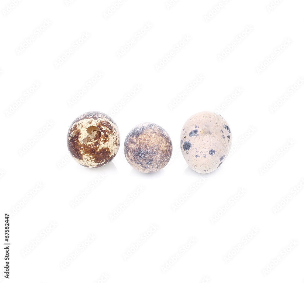 Close up of quail eggs. Close up of quail eggs.