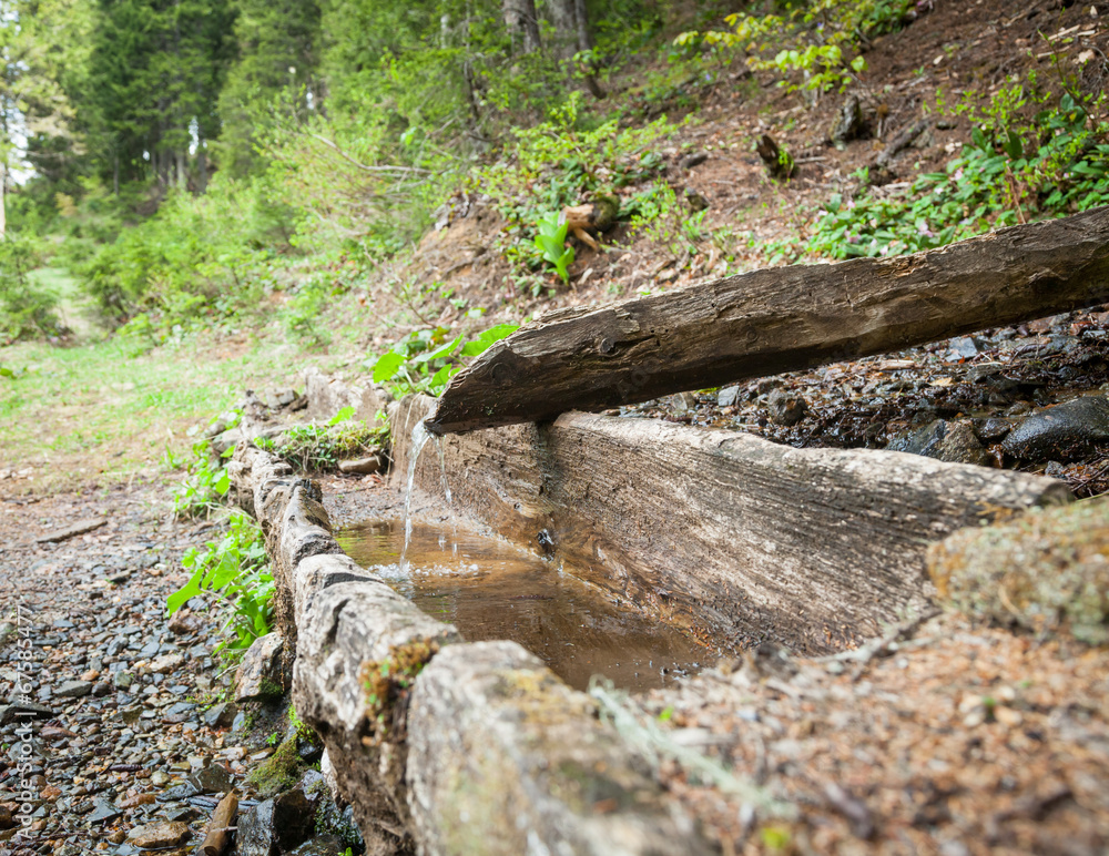 Natural fountain spring