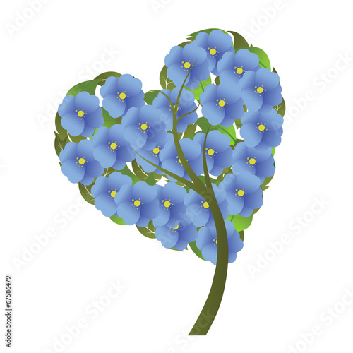 Flores