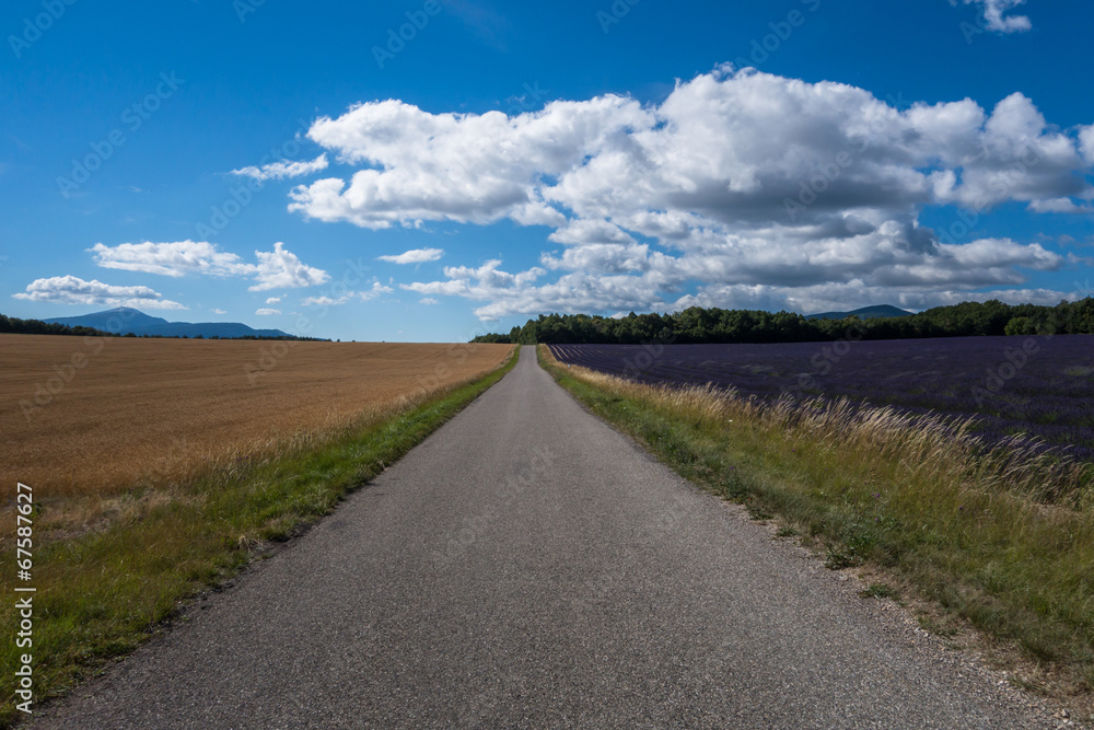 Paysage de provence