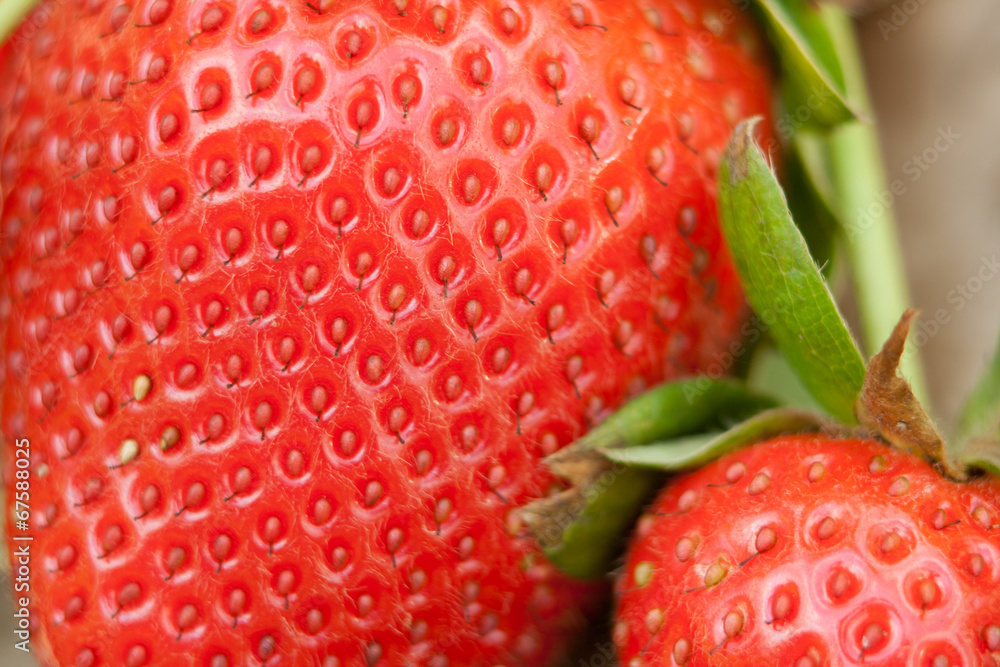 Strawberry Strawberry