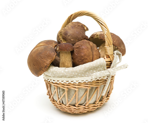 forest ceps in a basket on a white background close-up. horizont