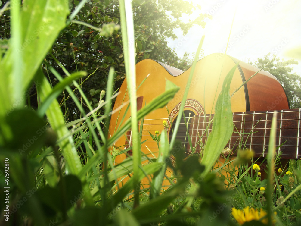 Fototapeta premium Photo guitar on the grass