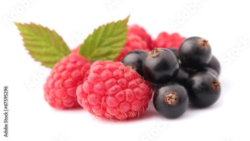 raspberry,black currant on a white background