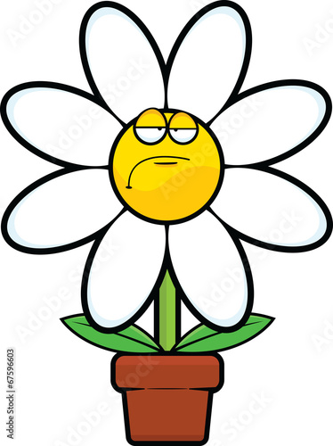 Fototapeta Naklejka Na Ścianę i Meble -  Cartoon Daisy Grumpy