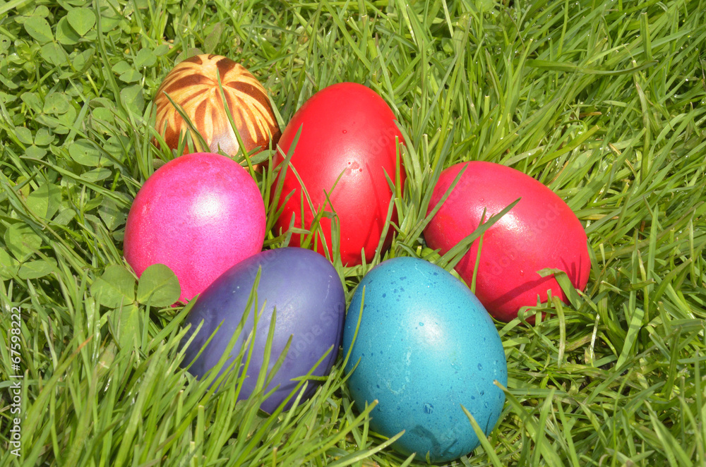 Easter Dekoration with colorful egs in grass