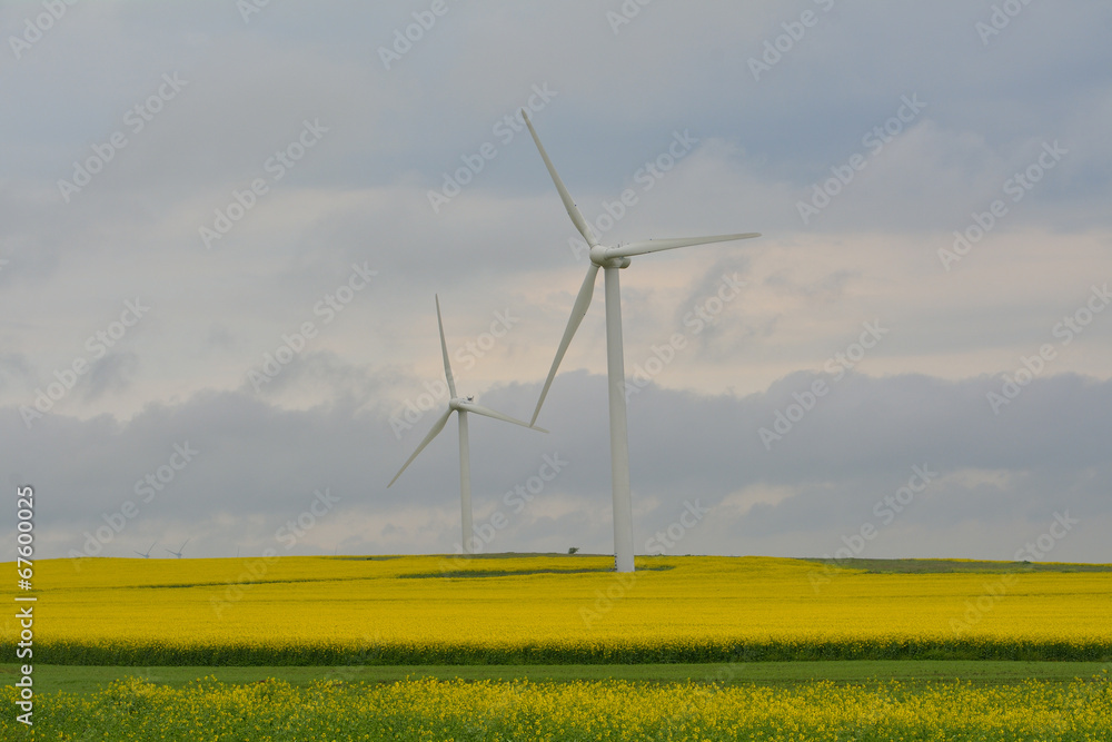 Wind turbine in yellow rapeseed field Wind turbine in yellow rapeseed field