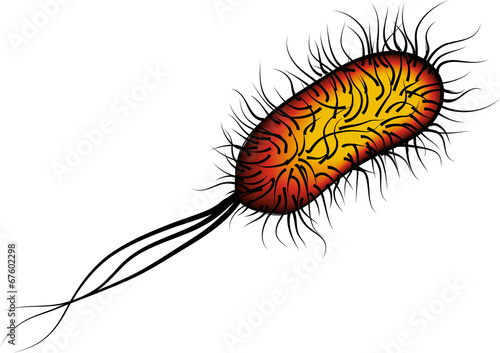 E coli Bacteria isolated red on white background