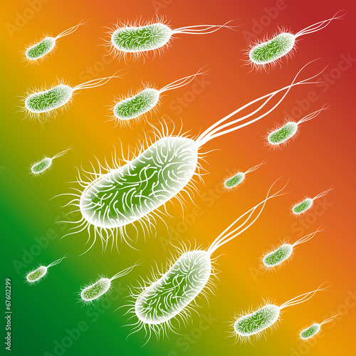 Group of the E coli Bacteries on color background