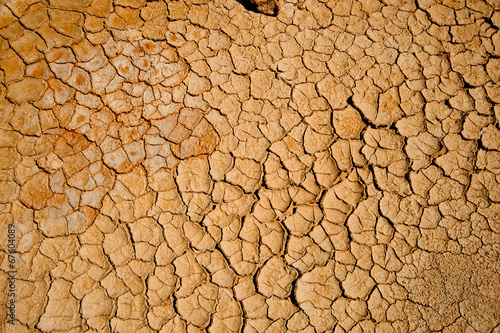 Arabian sand ripples