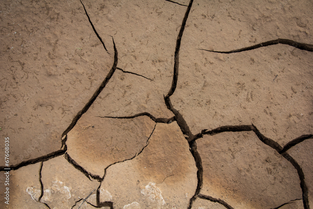 Obraz premium cracked soil