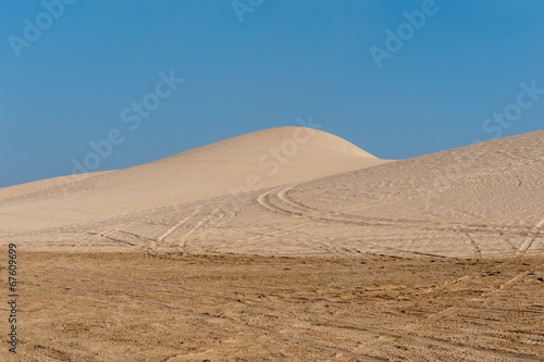 Arabian sand ripples