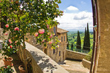 Roses at balcony in San Gimignano, Tuscany landscape background