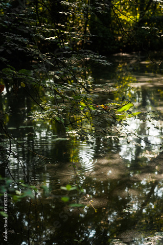 Spring at the river