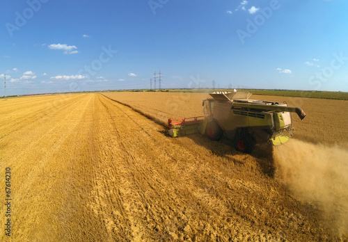 Combine harvesters on wheat field. Aerial view by a drone