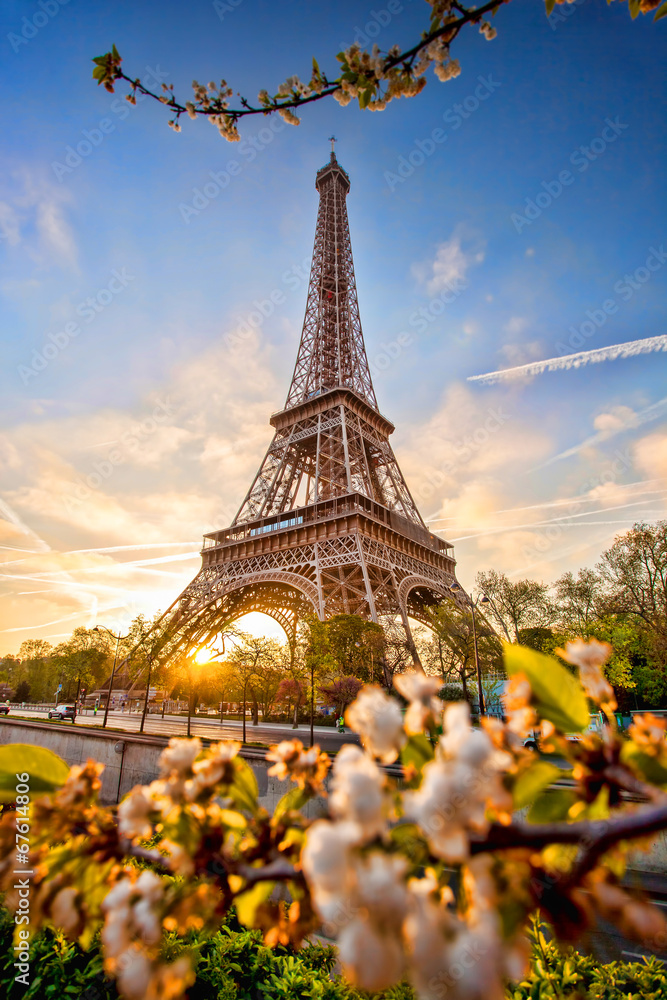 Naklejka premium Eiffel Tower against sunrise in Paris, France