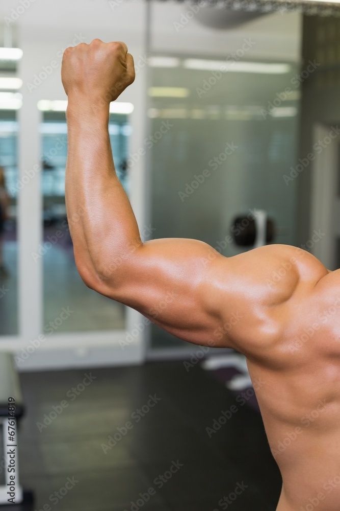 Rear view of a muscular man flexing muscles Rear view of a muscular man flexing muscles