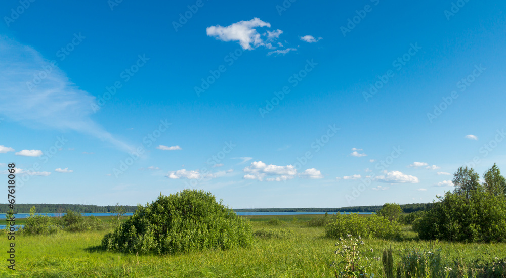 Summer landscape of meadow lake and sky