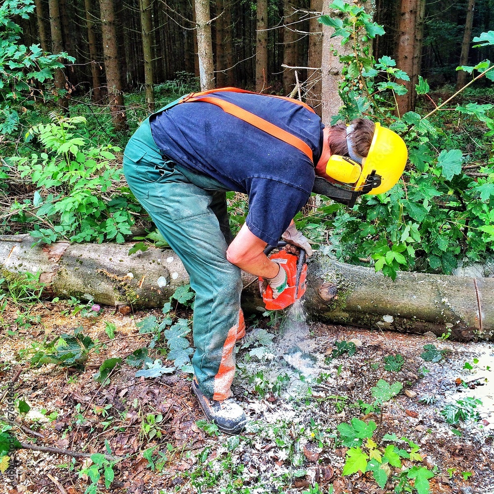 Waldarbeiter bei der Arbeit im Wald Waldarbeiter bei der Arbeit im Wald