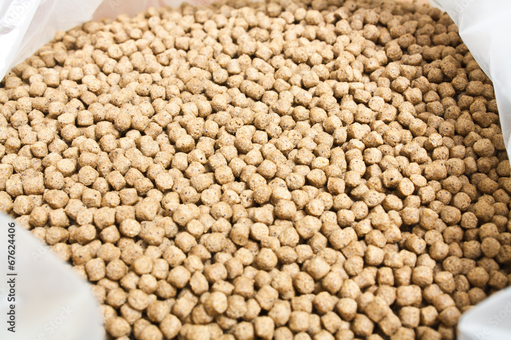 Fototapeta premium Pellet Fish Feed