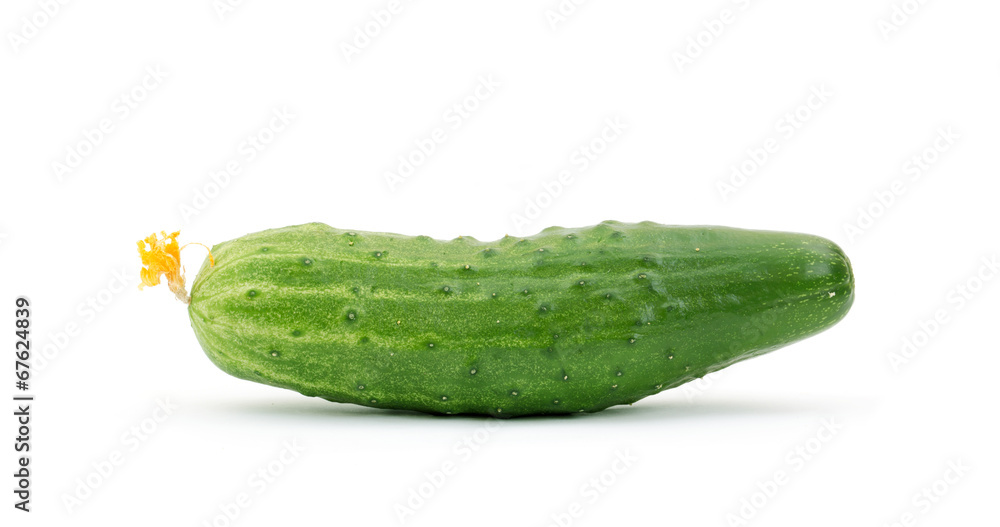 Cucumber isolated on white background Cucumber isolated on white background