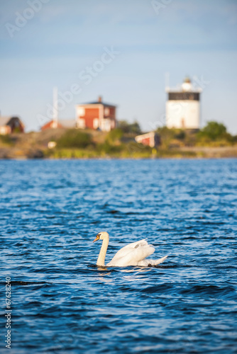 Swan passing by a scenic li...