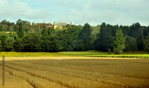 Cultivos y castillo en la campiña francesa