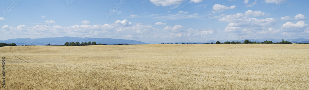 Scenic view on agricultural landscape in Provence, France