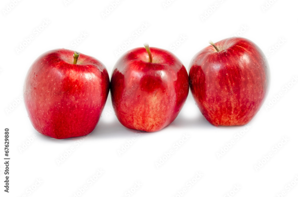 tree apple stand together on white background isolated tree apple stand together on white background isolated