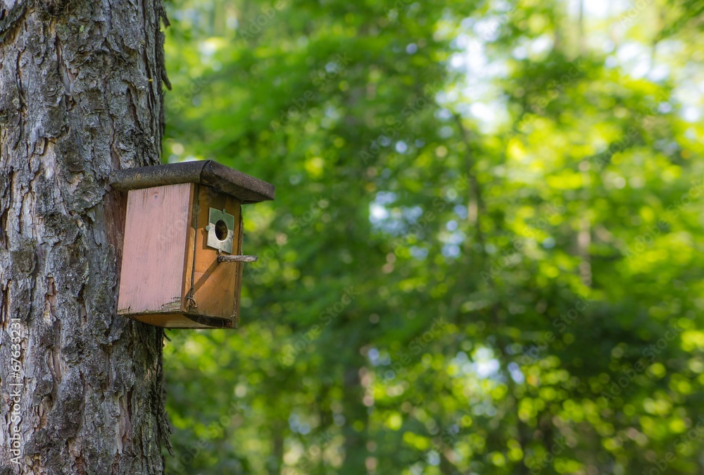 Vogelhaus im Wald