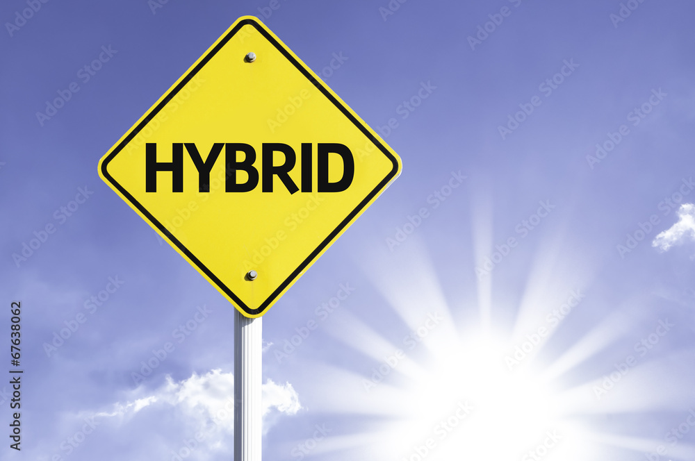 Hybrid road sign with sun background Hybrid road sign with sun background