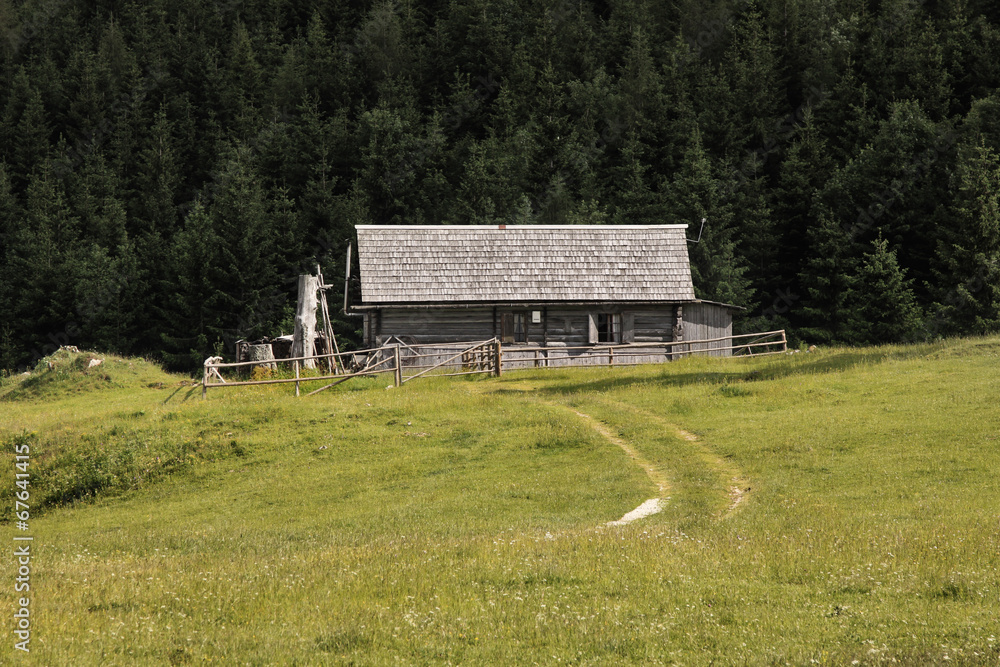 Obraz premium Hut in the Woods