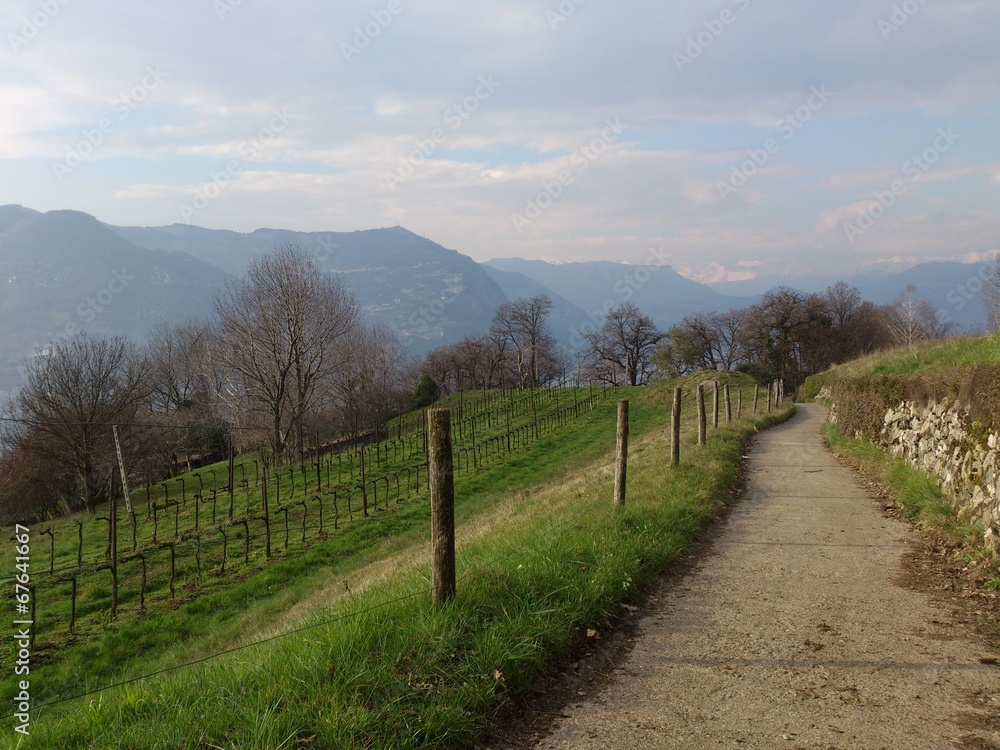 Fototapeta premium Sentiero panoramico